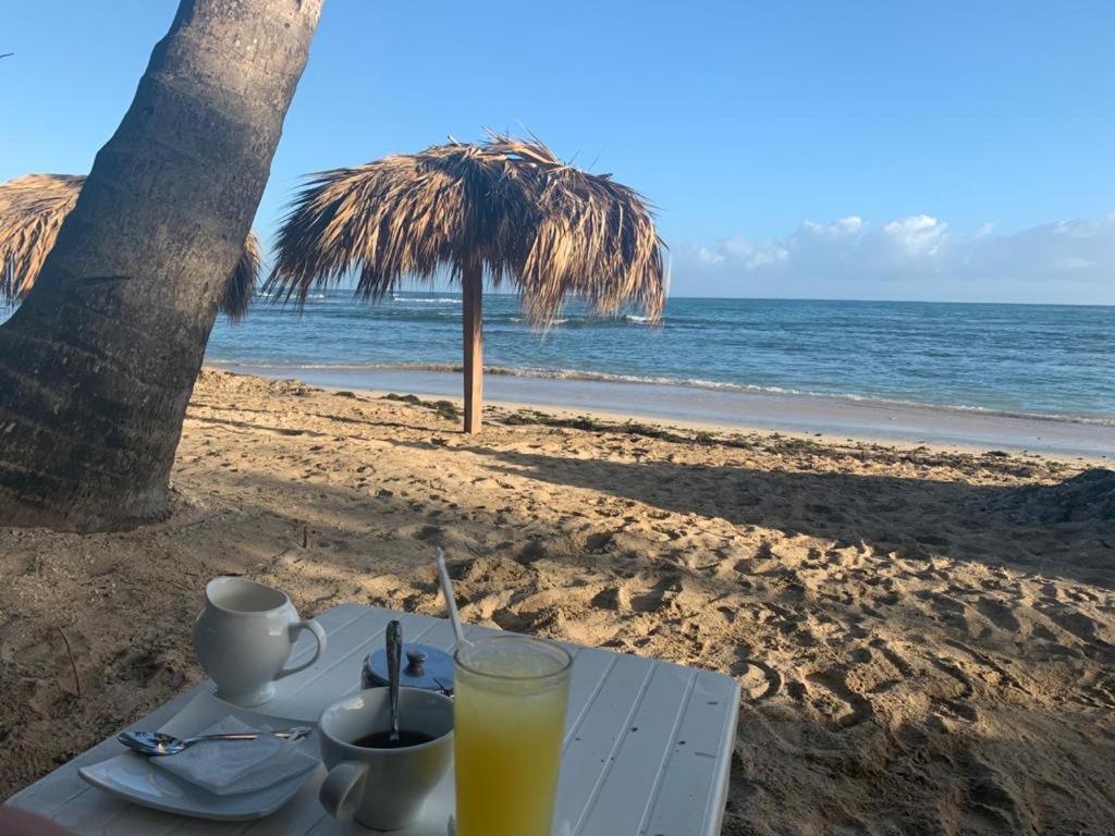 Mar Azul 401 Leilighet Puerto Plata Eksteriør bilde