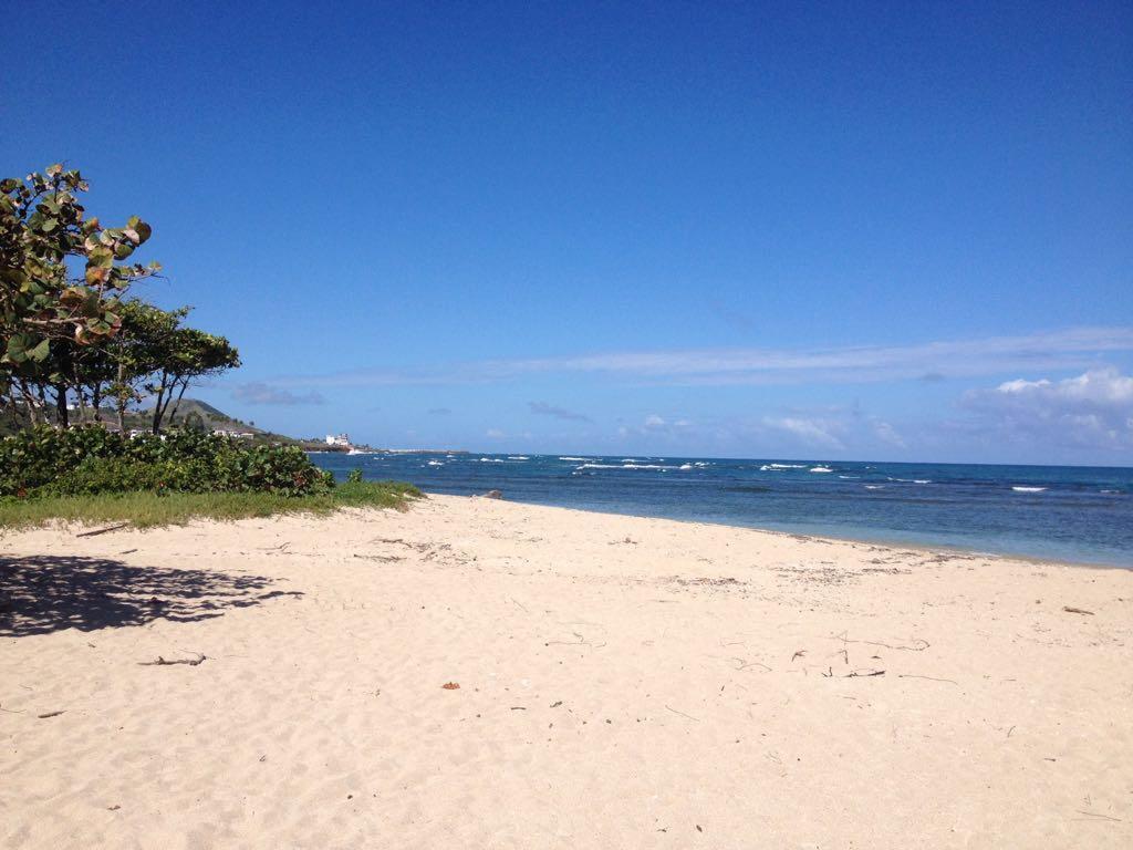 Mar Azul 401 Leilighet Puerto Plata Eksteriør bilde